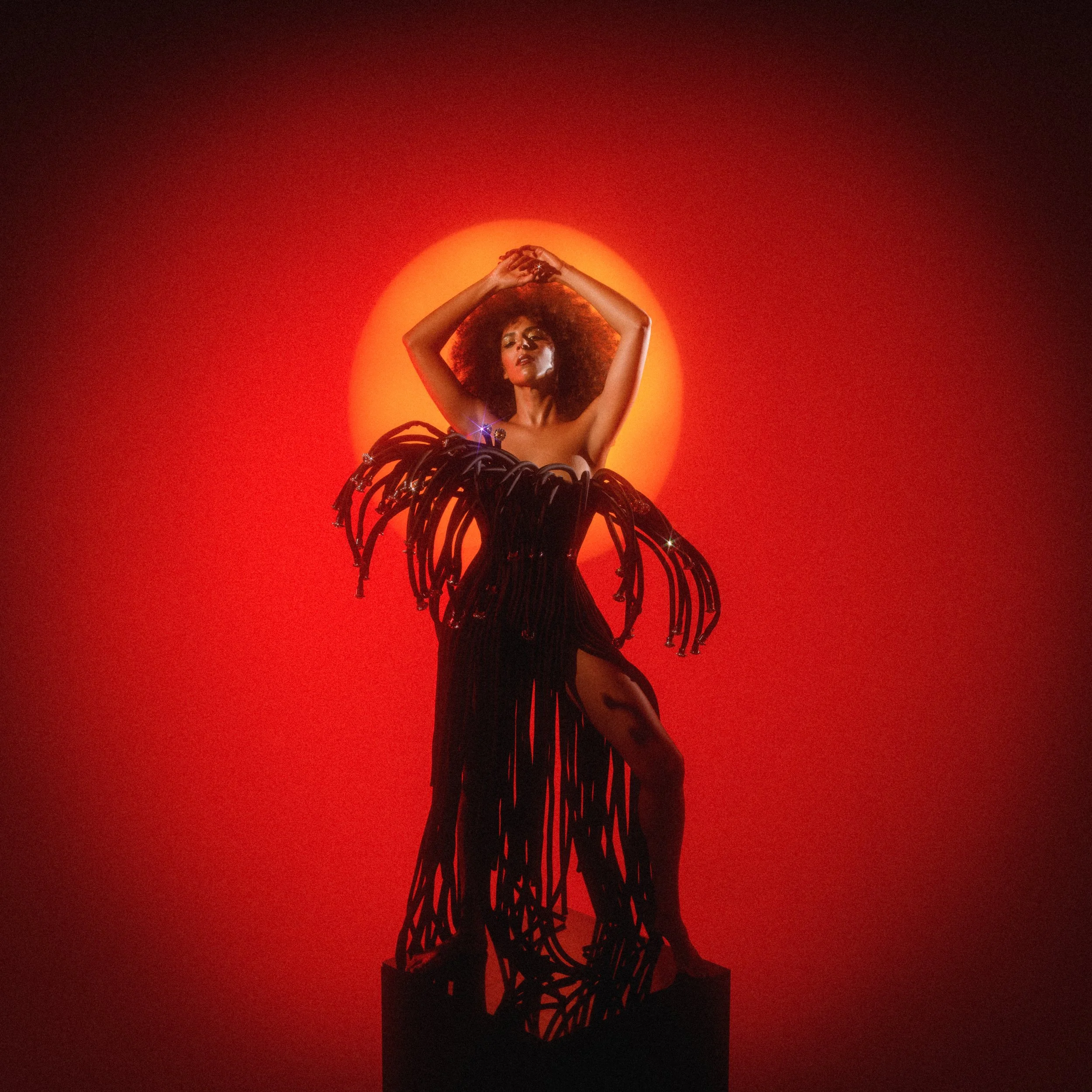 MUSIC — Gavin Turek